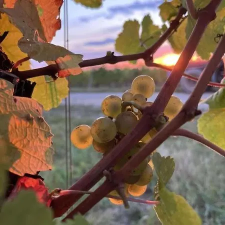 Au Gres Des Vosges - A L'ancien De