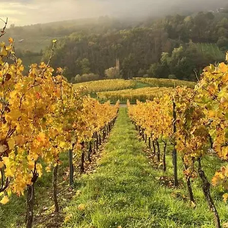 Au Gres Des Vosges - A L'ancien De