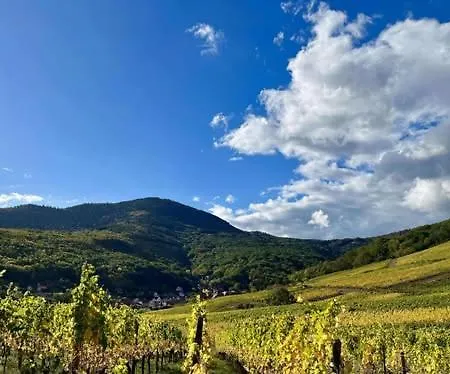 Проживание в семье Au Gres Des Vosges - A L'ancien De Reichsfeld