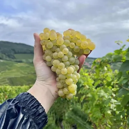 Проживание в семье Au Gres Des Vosges - A L'ancien De